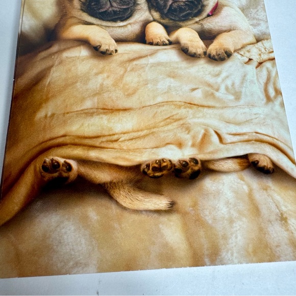 8 Avanti Greeting cards - Pug dogs in bed
Holiday: Valentine’s Day - Picture 4 of 8